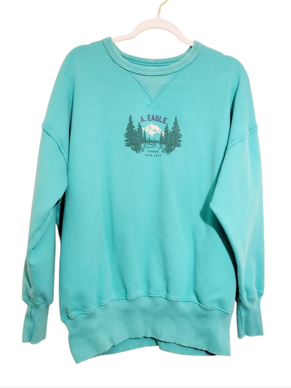 American Eagle | Women’s Teal Mountain Graphic Crewneck Sweatshirt (Size Small)